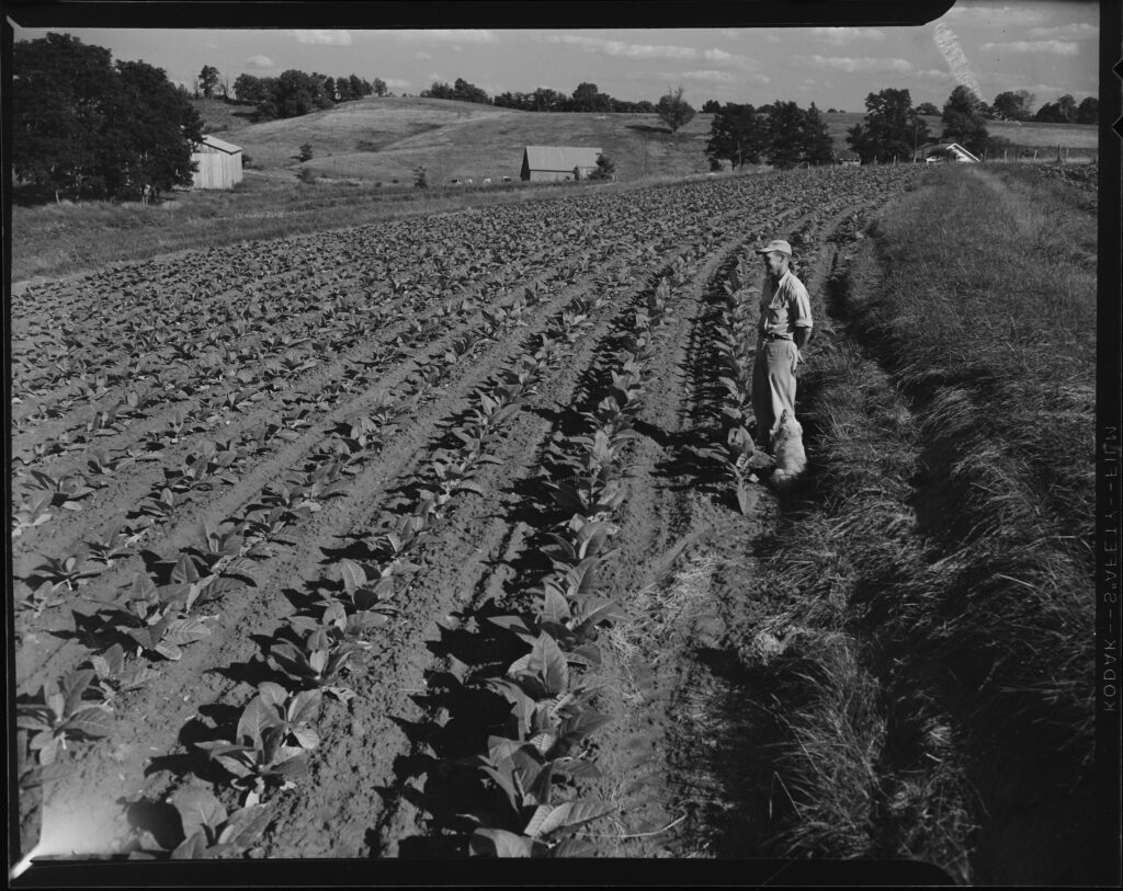 This photograph may not be reproduced in any manner without the express, written consent of Boyd's Station Inc.